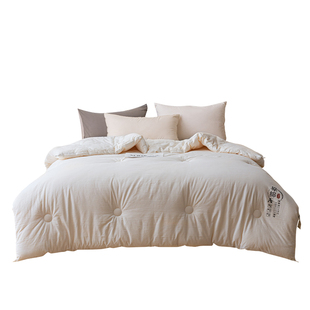 冬季被子冬被棉被学生宿舍单双人加厚保暖丝绵春秋被芯空调秋凉被