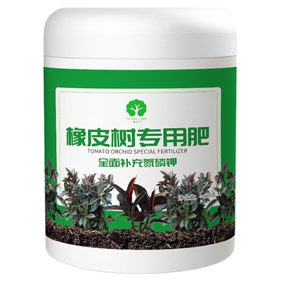 橡皮树肥料专用橡皮树营养液专用肥防黄叶落叶烂根专用颗粒肥