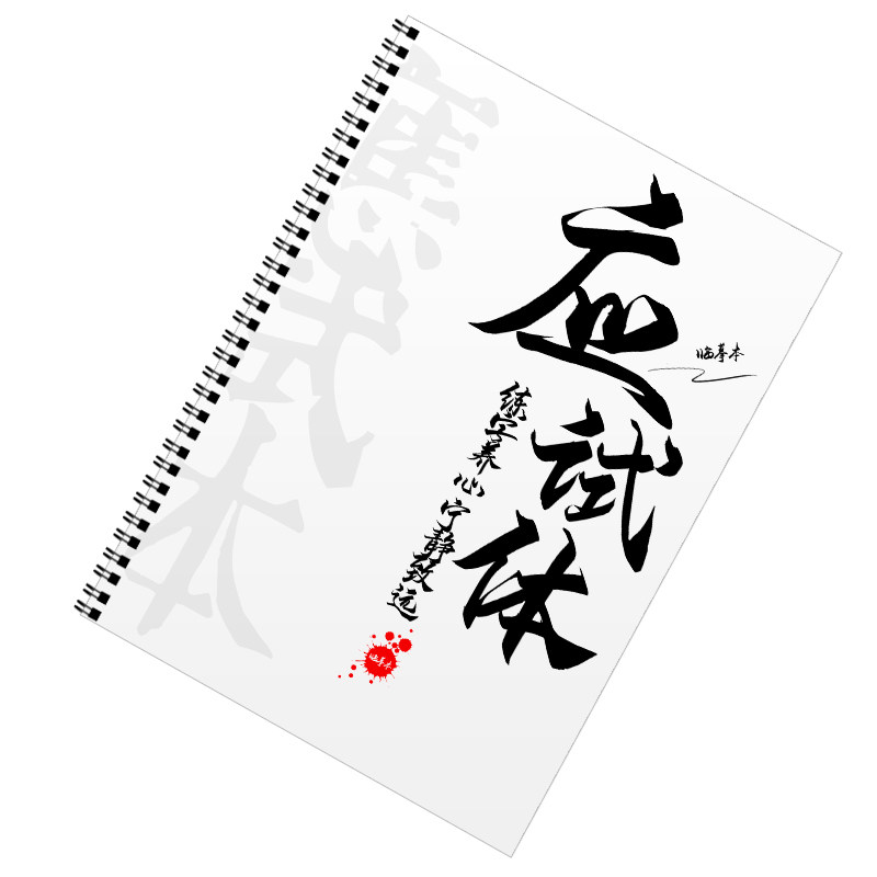 衡中考试体字帖应试体语文行楷衡水体中文适合高初中女生练的字帖