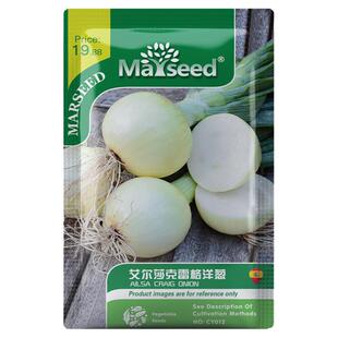 【新品推荐】进口艾尔莎克雷格洋葱种子耐寒四季蔬菜种子籽孑
