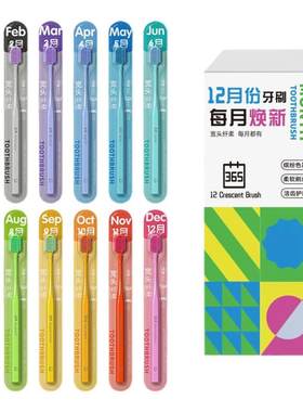 12支月份软毛成人牙刷