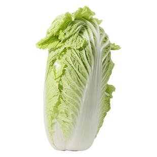 新鲜冬储大白菜约9斤 本地自种 老北京白菜 口感脆甜 适合炒吃