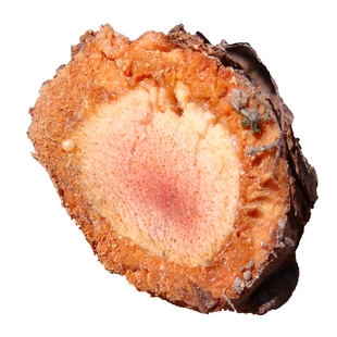 三十年野生雄猕猴桃根藤梨根洋桃根石苇刀口药共4斤30包一个月量