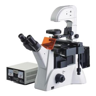 凤凰三目落射倒置荧光显微镜四波段带透射相衬功能无穷远光学系统