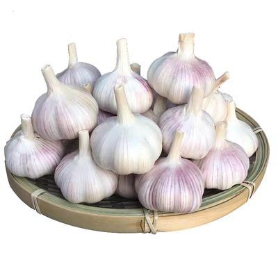 冲量价金乡紫白皮大蒜大蒜头干蒜新鲜山东农家优质批发价食用