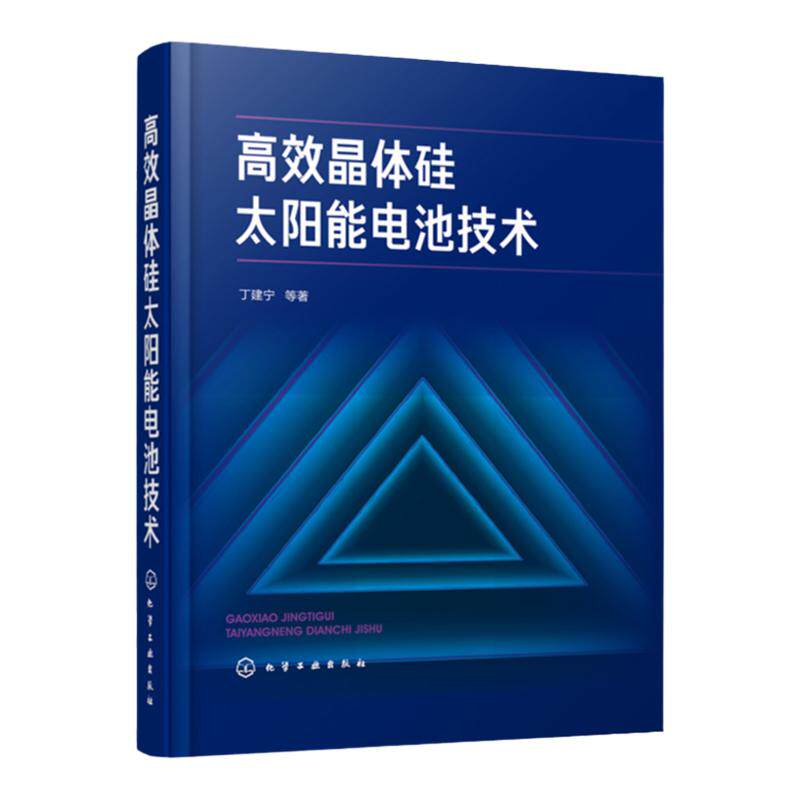 高效晶体硅太阳能电池技术 高效晶体硅电池制备及性能研究关键制造技术发展趋势书籍 硅太阳能电池领域技术人员的参考著作太阳能书