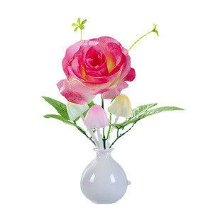 浪漫LED插电开关小夜灯七彩卧室宝宝喂奶床头走廊起夜光灯省电