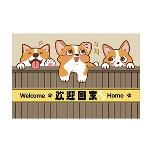 入户门地垫进门门垫门口脚垫pvc奶油风卡通耐脏地毯可擦免洗家用