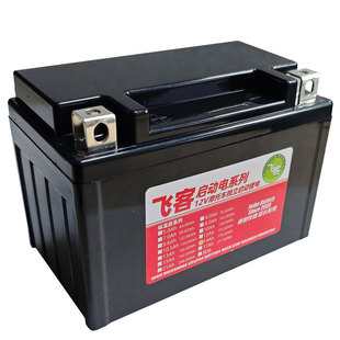12V摩托车电瓶豪爵DL250骊驰GW250铃木GSX250 DR300 TR300锂电池