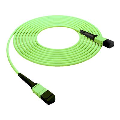 永定mpo光纤跳线om5电信级MPO-MPO转-MPO/MTP/LC/FC8芯12芯24芯OM5万兆多模40G 100G光模块跳线1 2 3 5 10米