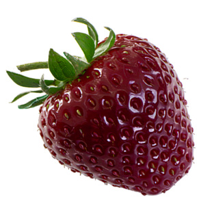 黑草莓礼盒装真红美玲黑珍珠黑美人高端水果新鲜年货节美铃鲜果