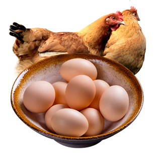 掌柜精选正宗土鸡蛋30枚农家散养吃南瓜自农村草鸡蛋新鲜柴鸡蛋笨