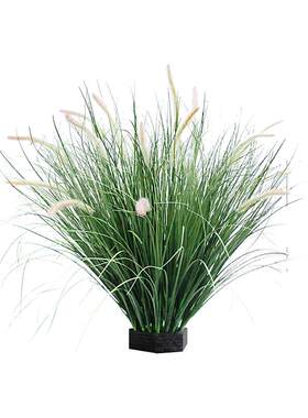 西西里室内假草植物角弯草蒲草堆