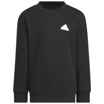 Adidas阿迪达斯男小童秋冬加绒印花圆领运动休闲卫衣套头衫IZ2658