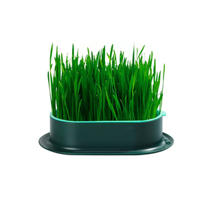 鹦鹉专用鸟草饲料发芽鸟草盒混合粮种子粮发芽粮玄风牡丹虎皮鸟粮