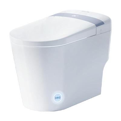 箭牌全自动智能马桶感应翻盖泡沫盾带过滤臀洗电动坐便器AKE1186