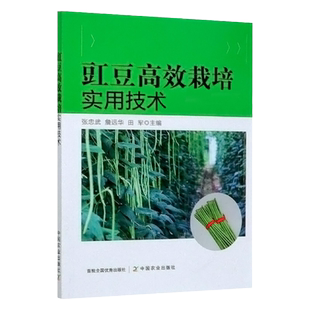 正版 豇豆高效栽培实用技术 豇豆优质高效栽培技术病虫害防控 豇豆种植书籍 矮生豇豆蔓生豇豆  豇豆漂浮育苗技术蔬菜栽培种植书籍