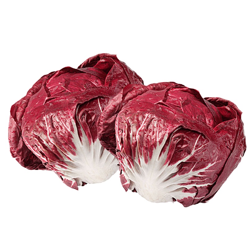 新鲜紫苣菊苣落地球生菜沙拉蔬菜食材红叶包菜 红菊苣500G