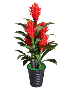 仿真植物鸿运当头假花塑料花盆栽