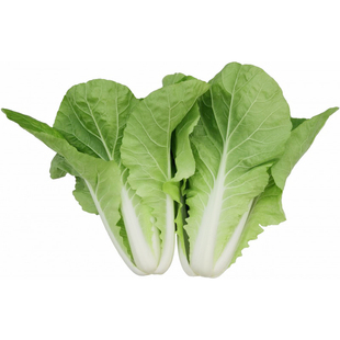 娃娃菜四季种子种籽黄心蔬菜种孑农家南方白菜春天种的菜种春季