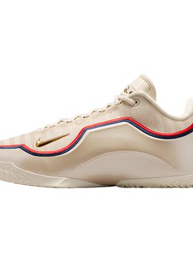 Nike/耐克正品JORDANLeBronXIEP詹姆斯经典男篮球鞋IB9563-103