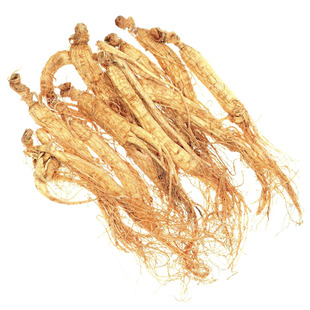 新鲜人参 野山参 长白山人参鲜人身山参人叁东北小鲜参包邮