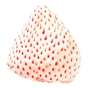 顺丰空运淡雪多彩草莓初雪白色奶油天使新鲜水果生日黑珍珠送女友