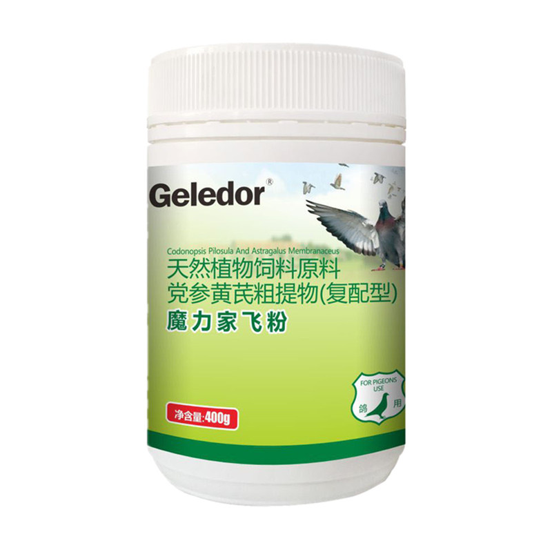 格莱德魔力家飞粉赛鸽家飞耐力