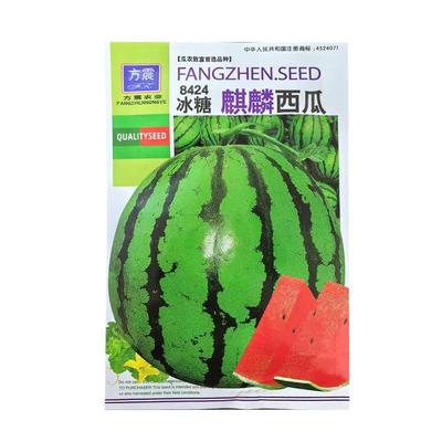 瓜果种子8424西瓜种合集