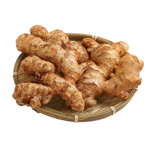 2025云南正宗小黄姜高山沙姜新鲜生姜现挖老姜土姜蔬菜农家老姜黄