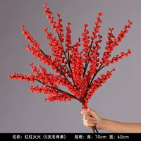 Красный и красный огонь (5 Зимних зеленых фруктов)