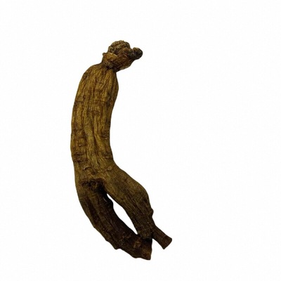 本草中华梁绍喜红参无糖集安边条参六年人参16支500g包邮