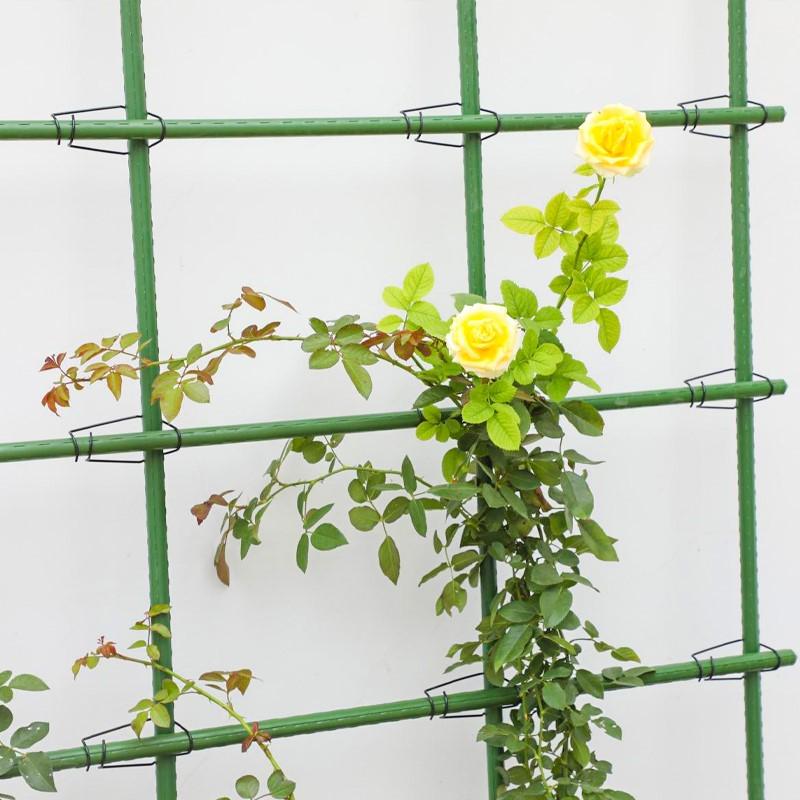 爬藤架花架铁线莲月季葡萄架绿萝蔷薇网格植物阳台菜园户外攀爬架