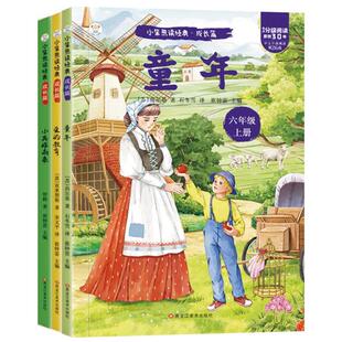 全套4册 鲁滨逊漂流记六年级下册必读的课外书正版原著完整版快乐读书吧6下童年汤姆索亚历险记尼尔斯骑鹅旅行记爱丽丝漫游奇境孙