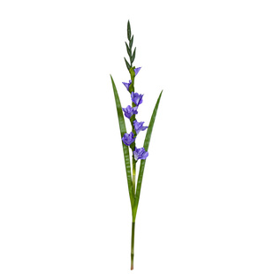 仿真花剑兰花婚庆道具家居装饰摄影道具仿真剑兰飞燕草软装花艺