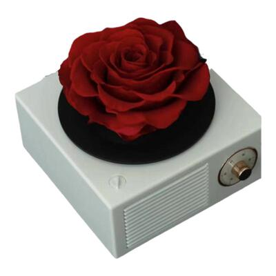 送女友告白蓝牙留声机生日礼物