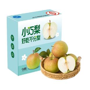 【2025年新鲜上市】正宗隰县玉露香梨小西天特产新鲜水果中秋送礼