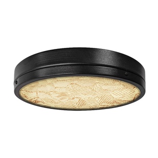 吸顶灯阳台户外别墅庭院大门入户屋檐灯露台灯防虫雷达感应照明灯