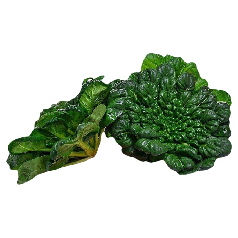 乌塌菜种子种籽白菜野菜黑青菜春秋冬季种孑四季农家黄心乌塔菜籽