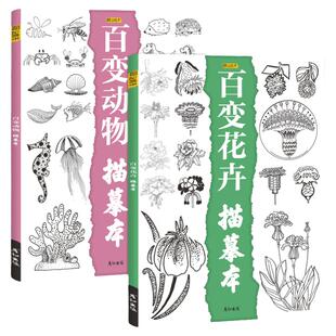 花卉动物描线画本素描临摹画册素材手绘画画入门自学零基础控笔训练线稿线条教程书铅笔描摹上色图儿童成人初学者小学生简笔画速写