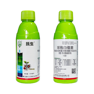 绿海 球孢白僵菌100亿孢子悬浮剂 草地贪夜蛾玉米螟蛴螬害虫杀虫