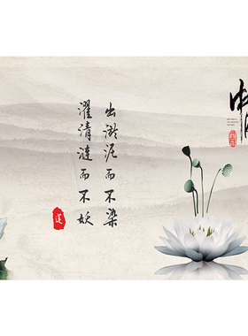 新中式水墨荷花装饰画客厅茶室禅意出淤泥而不染山水文字书房挂画