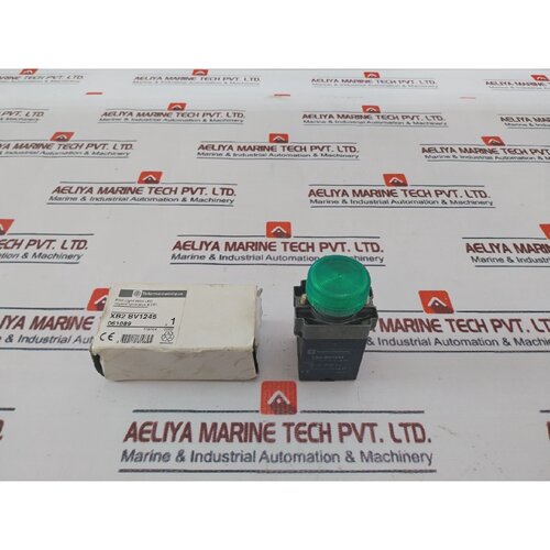 Telemecanique XB2BV1245 Pilot Light With LED 24240V