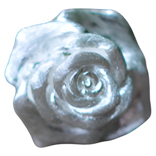 身境饰物‖黑与白‖原创设计纯银玫瑰耳钉 小号  写实vintage风