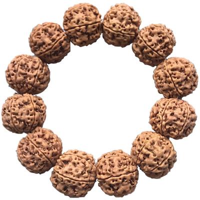 6六瓣稀有尼泊尔精品大金刚菩提