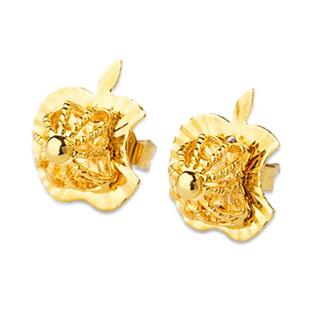 越南沙金小耳钉女耳棒仿真镀黄金耳环欧币首饰久不掉色婚庆饰品