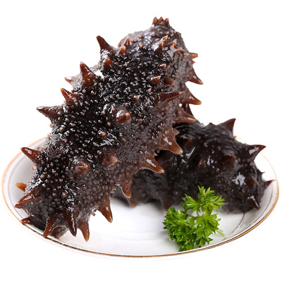 鲜活大连海参即食辽参