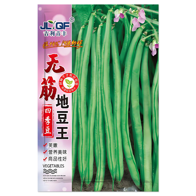 无筋地豆王四季豆种子