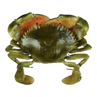 仿真青蟹模型大闸蟹梭子蟹螃蟹假海鲜水产膏蟹模具仿真食物道具
