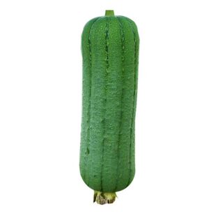 丝瓜种子苹果特长白八角棱长香四季早熟农科院特大超长高产当季种